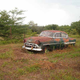 Illustration for article titled Cars Of The John Armbrust Estate Auction